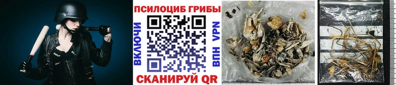 Галлюциногенные грибы мухоморы  наркотики  Узловая 